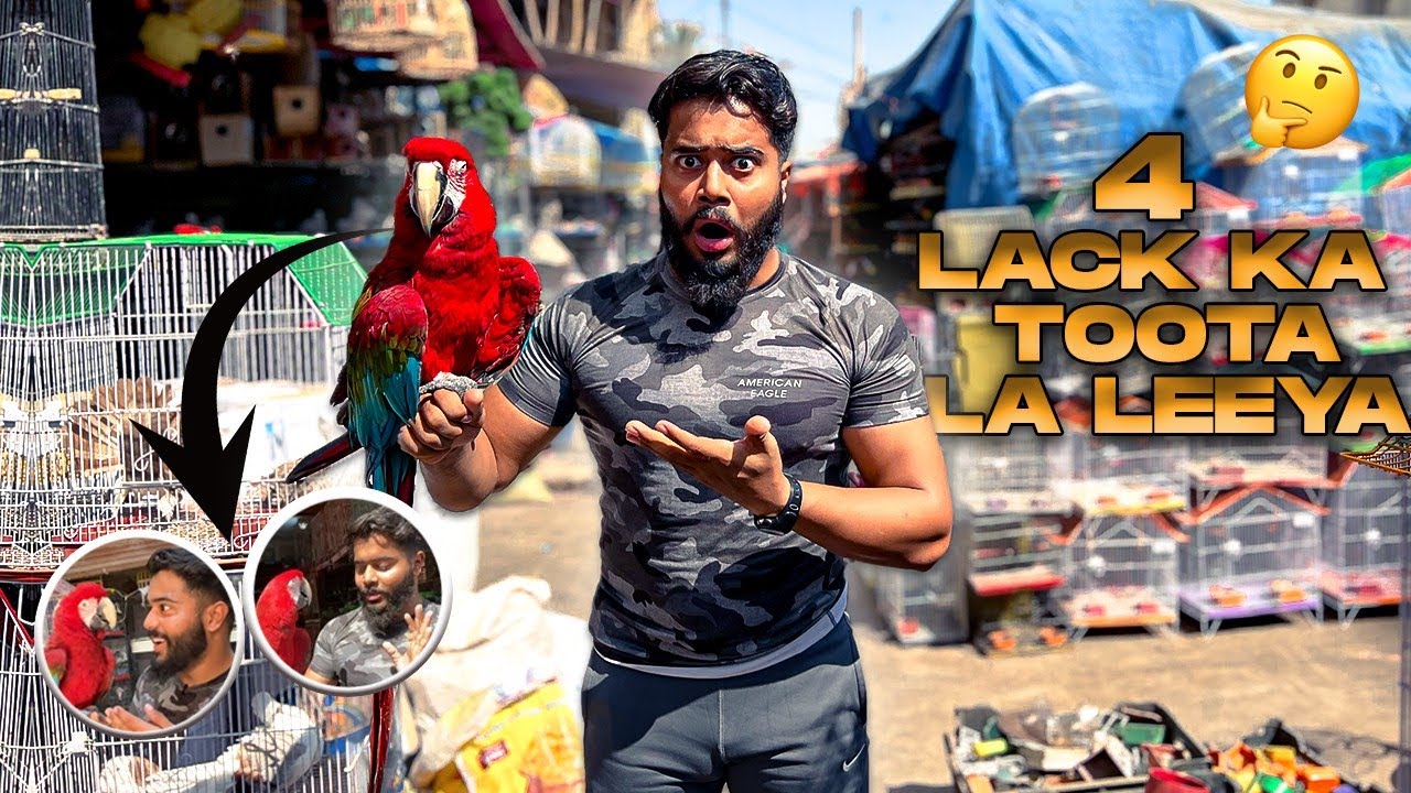 4 LACK KA TOOTA LA LEEYA 🤔 SYED FAHAD | THE FUN FIN | PETS LOVER