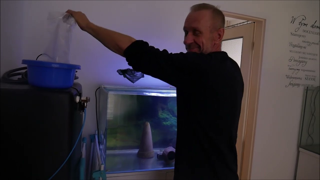 420. Wizyta u Zaklinacza Skalarów.
