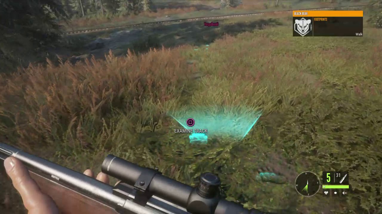 theHunter: Call of the Wild - Éjszakai vadászat. (113)