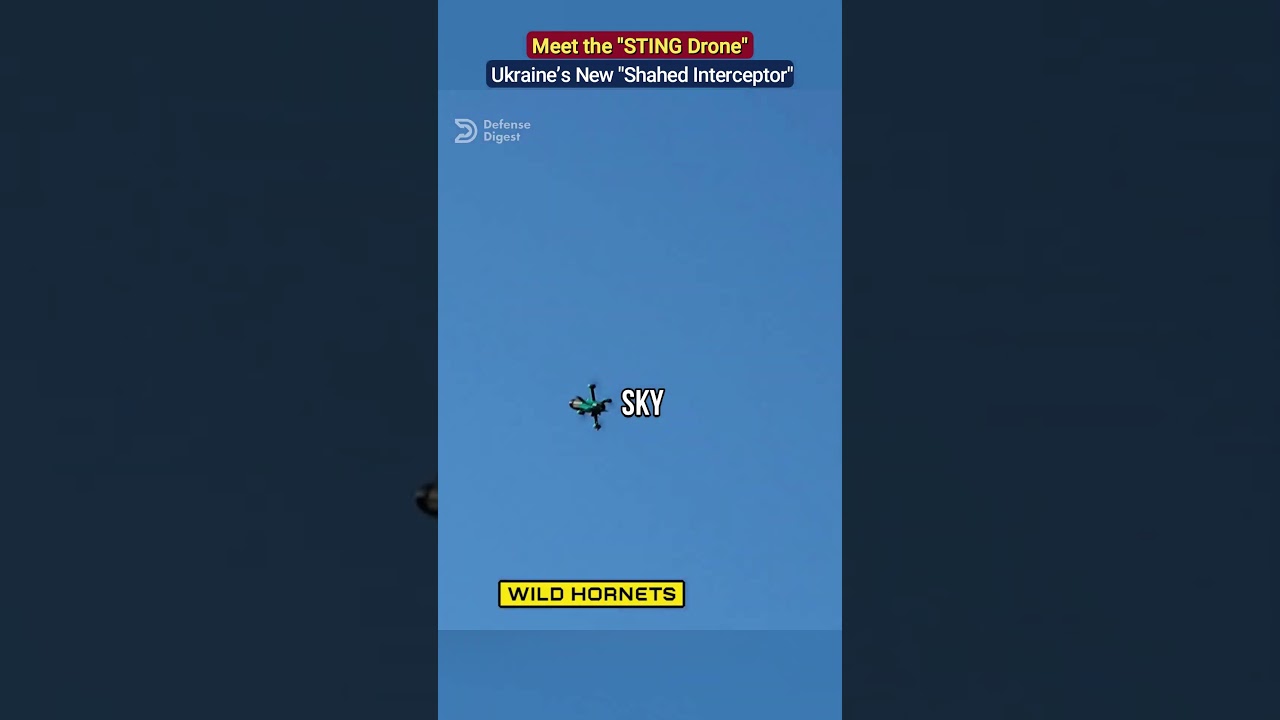 Встречайте &laquo;Shahed Interceptor&raquo;: новый украинский дрон STING! #Ukraine #DroneWarfare #WildHornet ...
