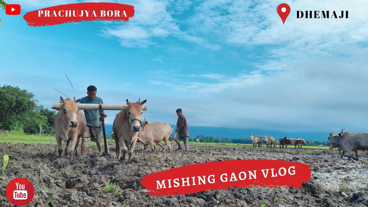 Mishing Gaon Vlog || Mishing Chang Ghar || Mising Gaon of Dhemaji ||