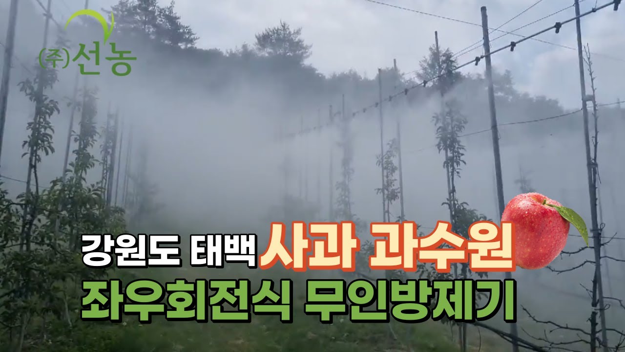 [선농]강원도 태백 사과 과수원 좌우회전식 무인방제기(SN-16)