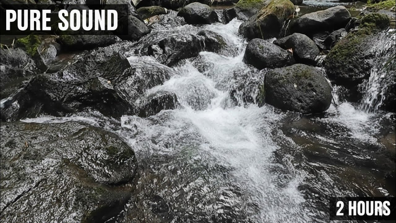 Calm River Flow for Deep Relaxation 🌊 | 2 Hours of Natural Water Sounds for Sleep & Focus