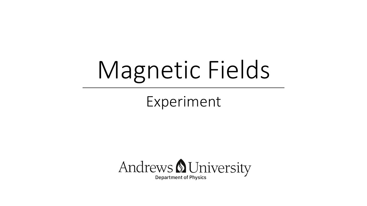 Physics Semester 2 Lab 6 (Magnetic Fields)