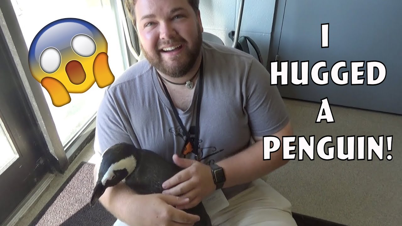 I HUGGED A PENGUIN! And more animal Encounters- Columbus Zoo Experience