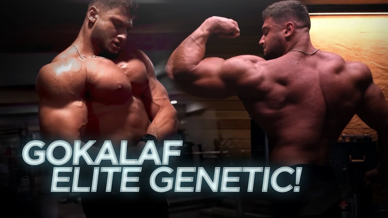 Gokalaf Elite Genetic @gokalaf