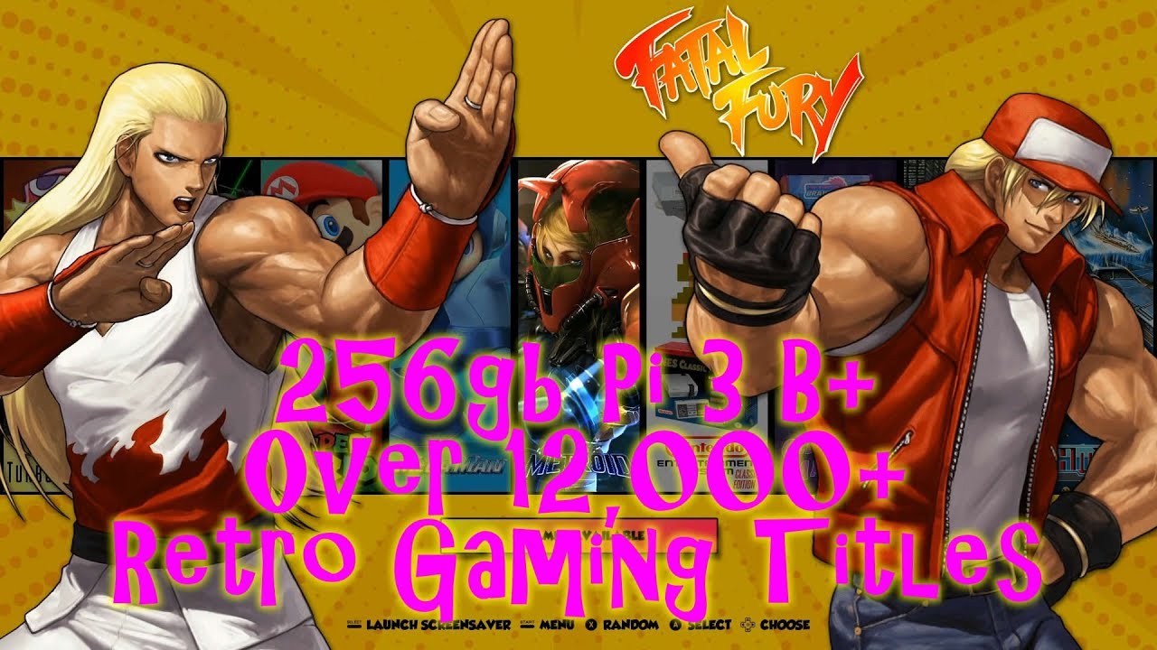 256gb Retropie 4.4 Pi 3 B+ Loaded 2019 - Vman 12,000+ Games