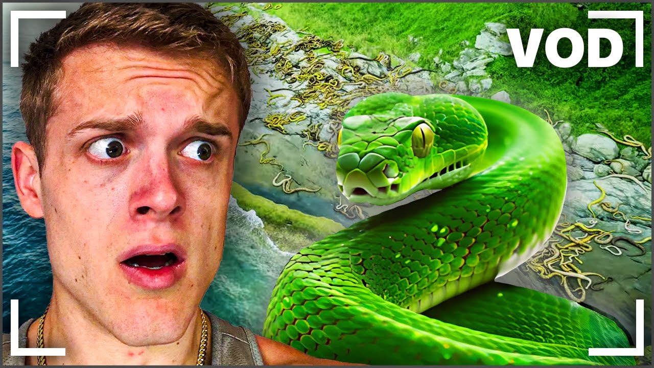 Joe Bartolozzi | Reacts Day #368 & MrBeast React