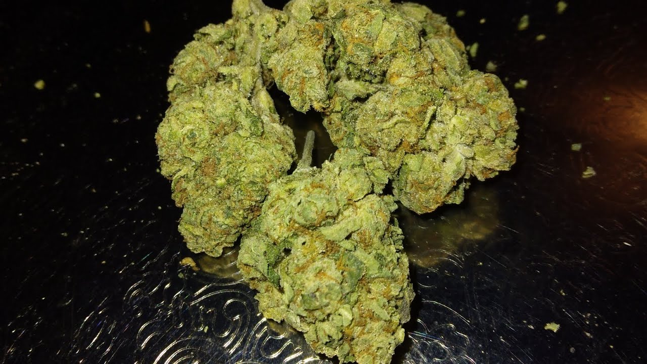 Project 4510 Strain-Review-🔬🧬🧪💨💨