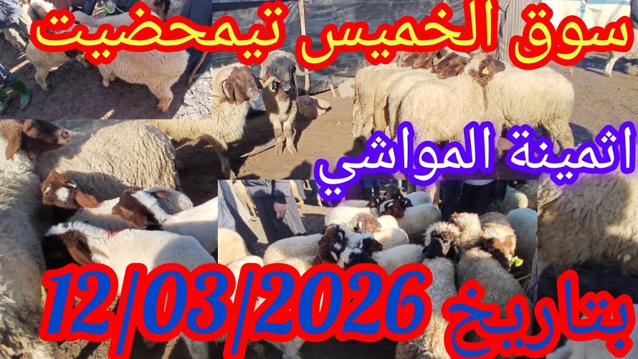 سوق الخميس تيمحضيت بتاريخ 12/03/2026 #اكسبلور 