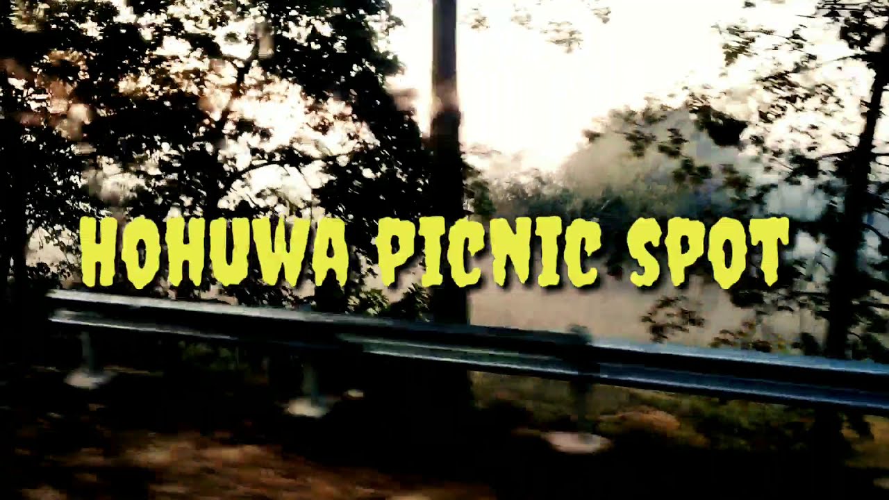 Hohuwa picnic spot view