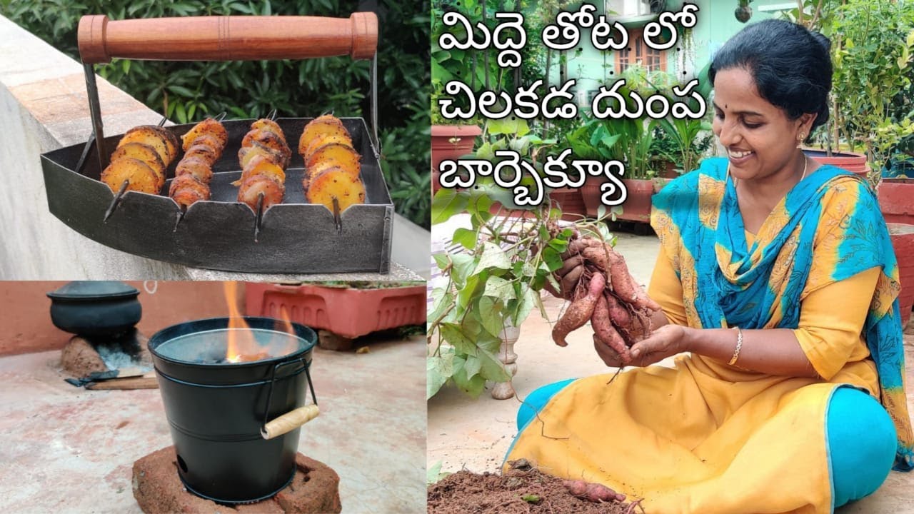 తోట లోని మొరంగడ్డ 🍠తో చేసిన బార్బెక్యూ🍢 Sweet Potato Harvest🍠🍠 & Bucket Style Barbeque 🍢