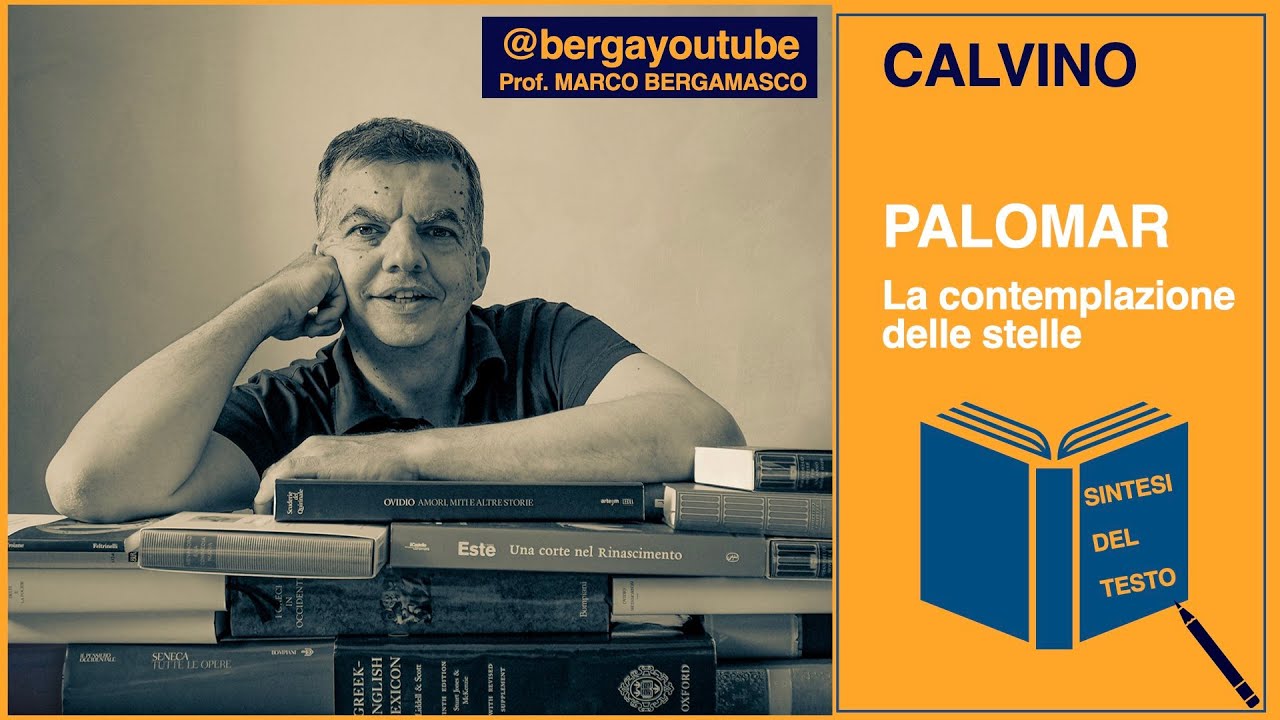 Calvino, PALOMAR, La contemplazione delle stelle