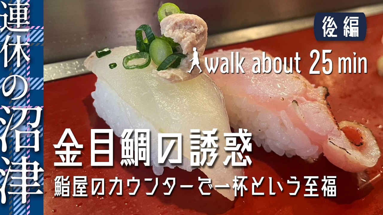 ［静岡・沼津｜後編］海沿いの道を歩きいよいよ港へ | Sushi in a Japanese Fisherman's Wharf