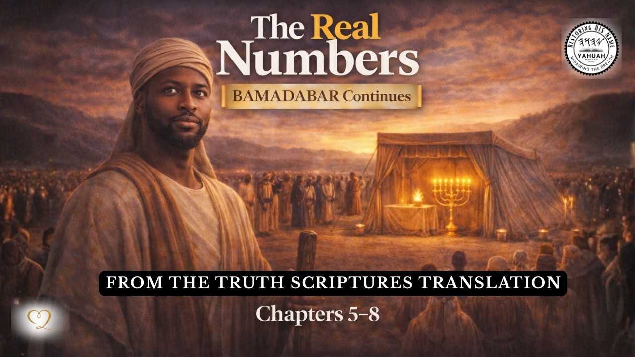 The Real Numbers — Why Structure Matters | Bamadabar Chapters 5–8 from The Truth Scriptures Translat