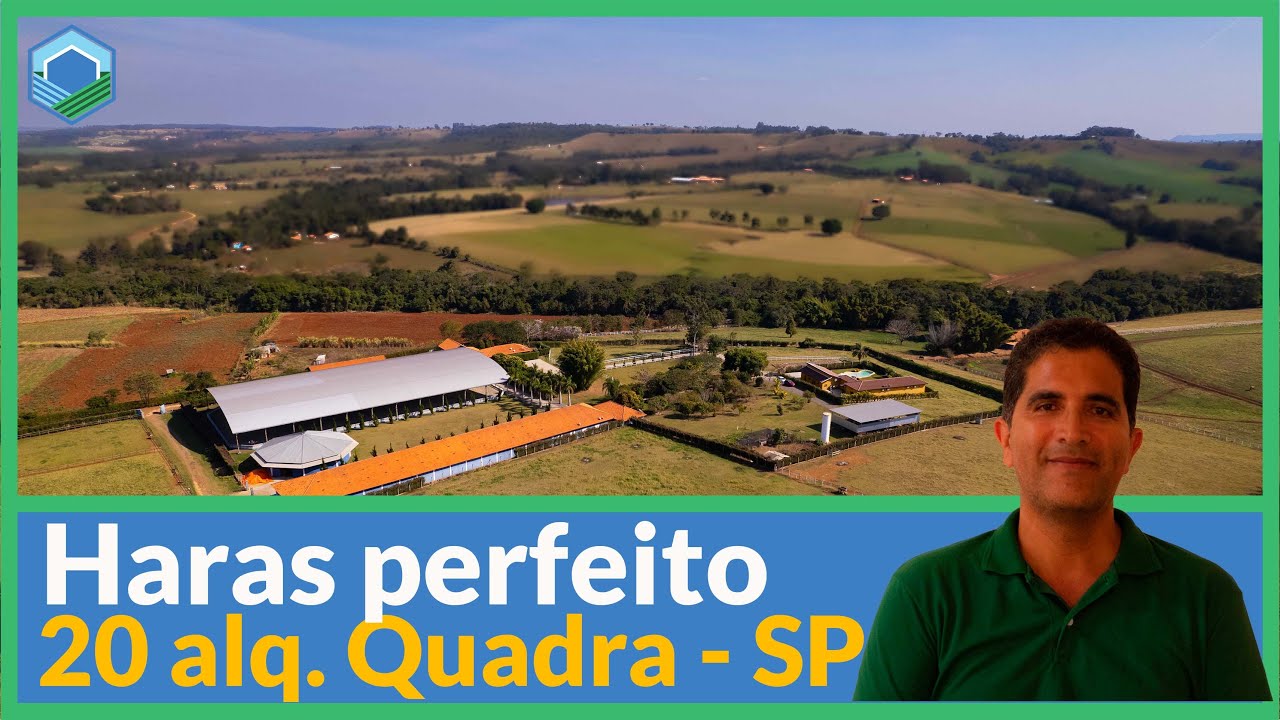 Haras de 20 alqueires em Quadra SP