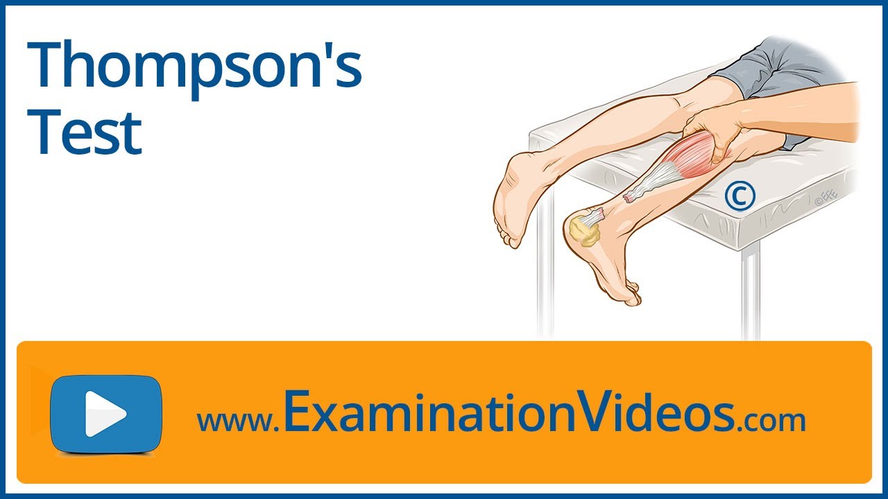 Thompson's Test