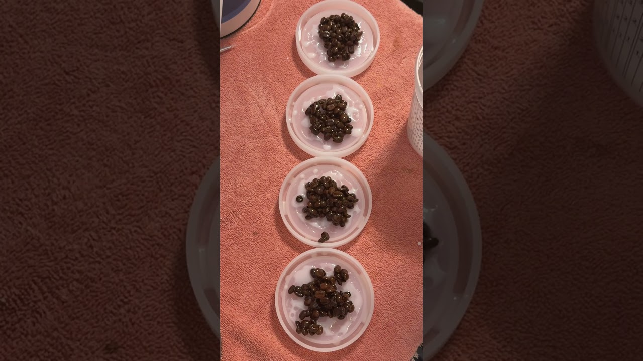 Coffee, bean epoxy coasters Semi-Fail￼