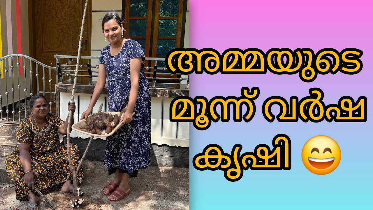 ശ്ശോ അമ്മയുടെ 3വർഷം അധ്വാനം ദാ കിടക്കുന്ന