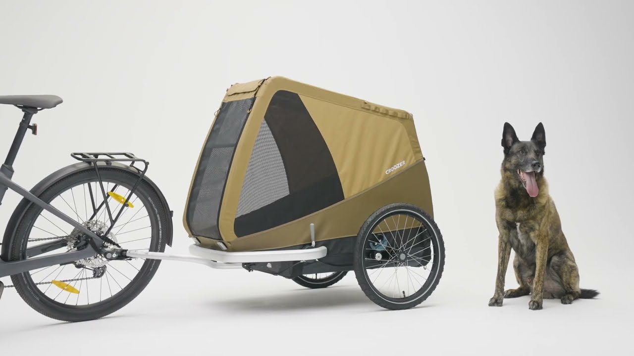 Croozer Tammo Dog Bike Trailer | X-Large Dogs