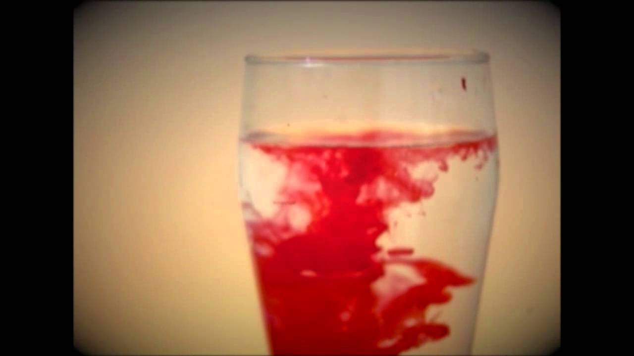 PINHOLES - Dialog ( Official Video )