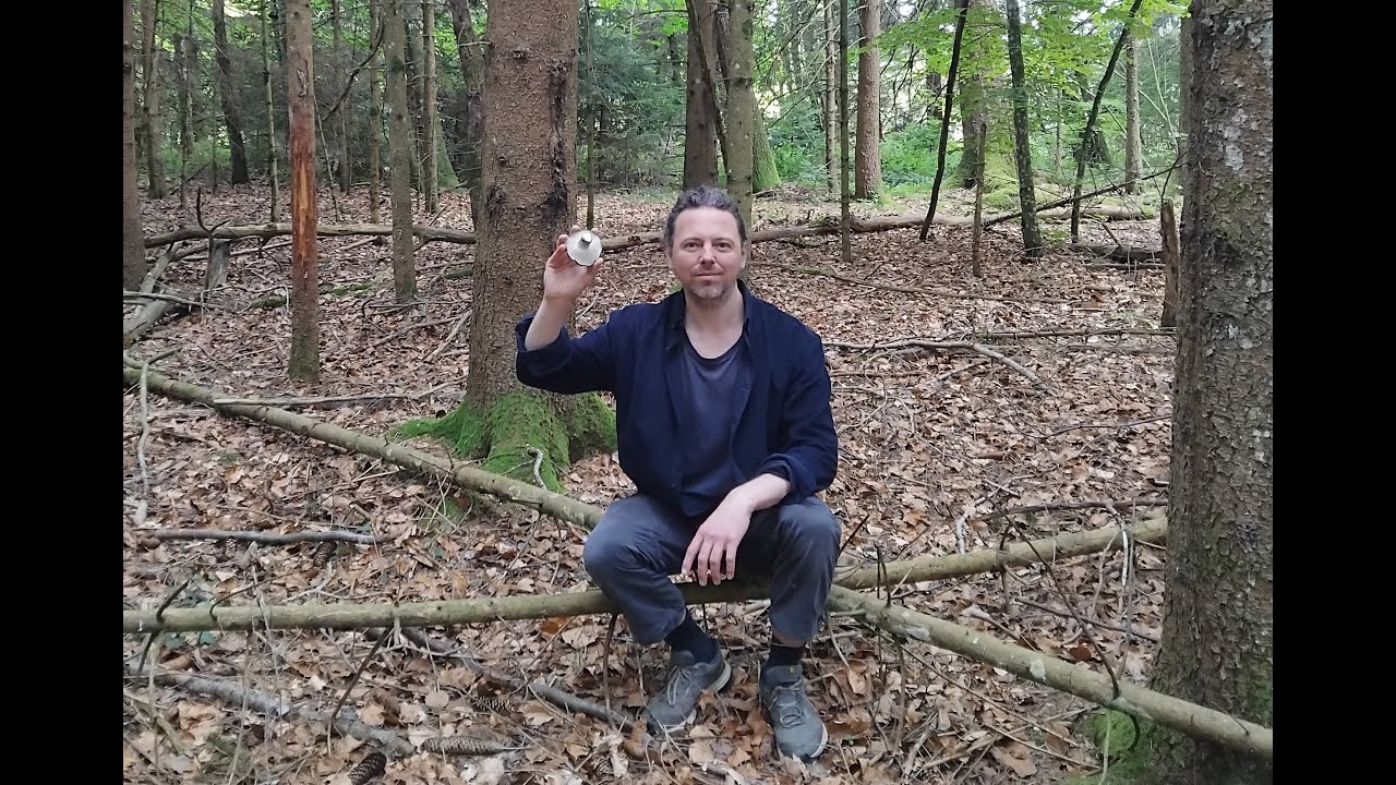 Hygrophore de mars, Guide nature Johannes Armin
