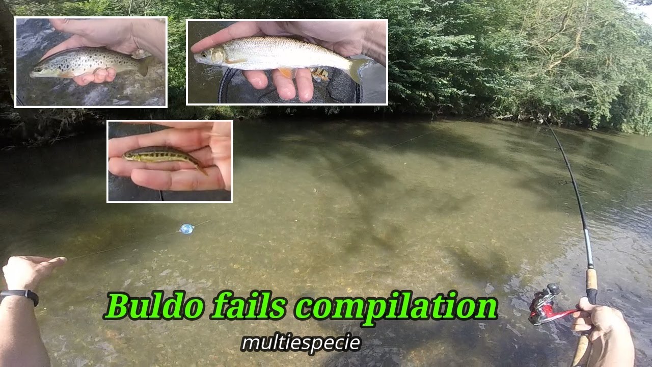 Pesca de truchas a buldo (multiespecie)