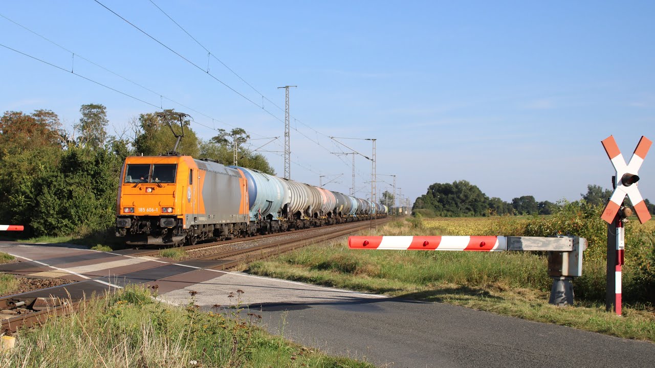 Züge in Güterglück mit BR146 BR147 BR193 und mehr... [WSSB Bahnübergang]
