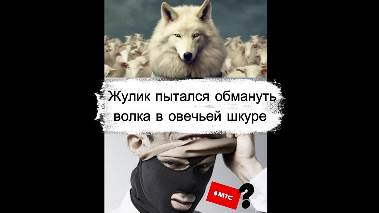 Жулик представился сотрудником МТС, но что то пошло не так... развод пранк аферисты