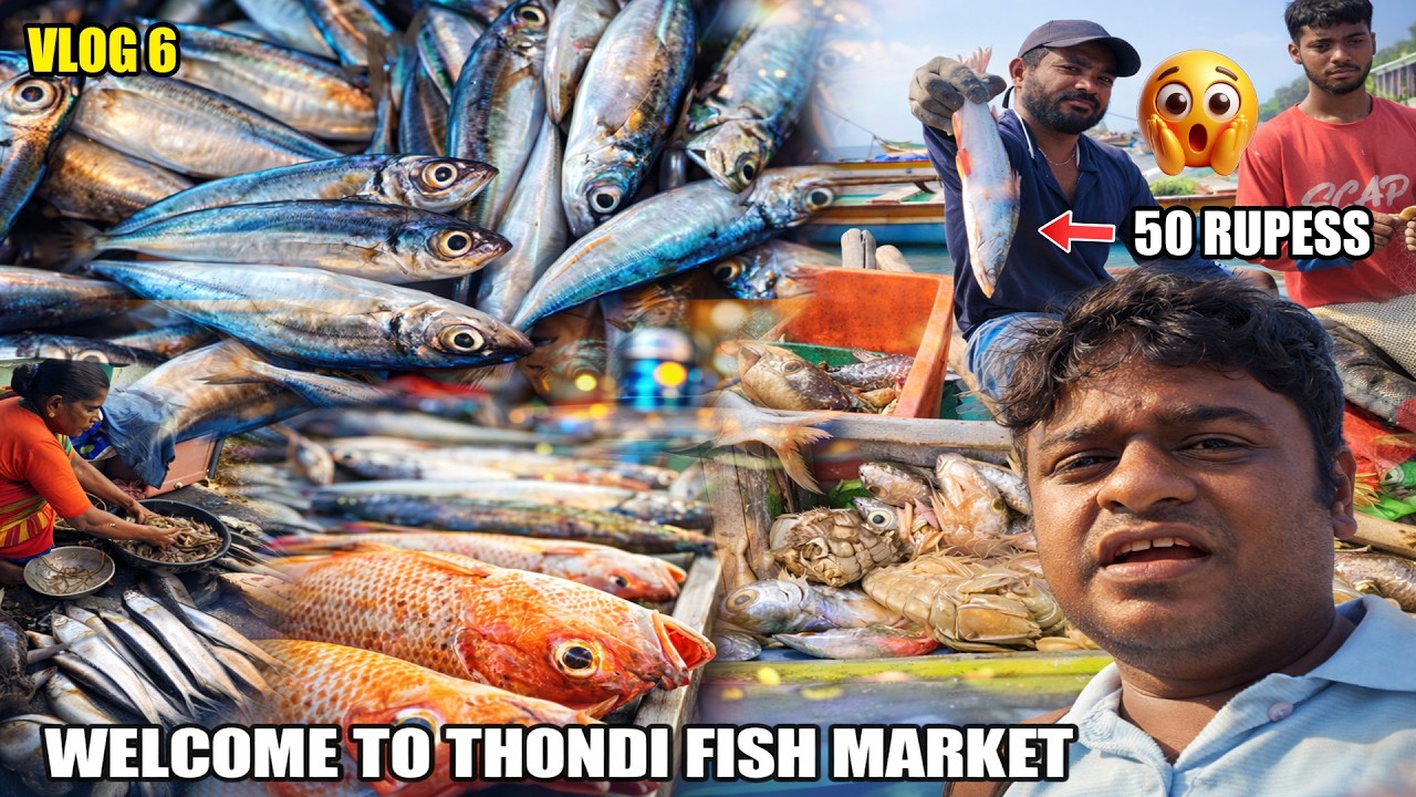 Thondi Fish Market Vlog | Fresh Seafood & Fishing Culture #FishingVillage#MarketVlog#TravelIndia