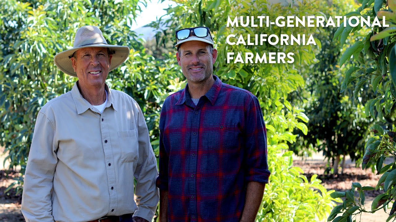 Meet California Avocado Growers Warren and Andy Lyall