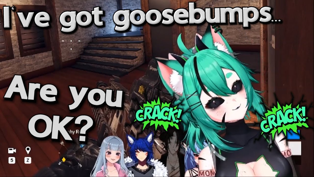 Cronchy Cat Returns
