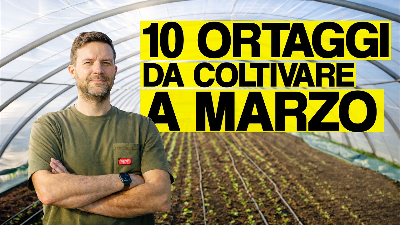 10 ORTAGGI DA COLTIVARE A MARZO