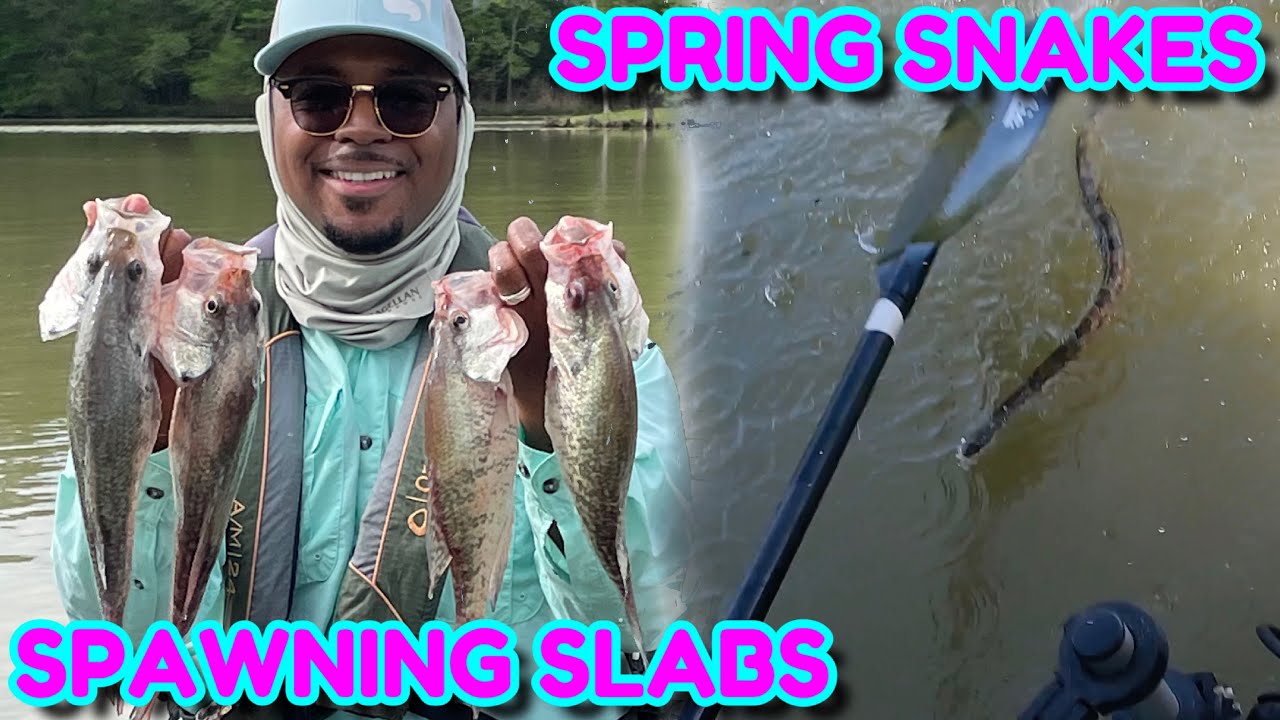 FOUGHT OFF A SNAKE 🐍 & LIMITED OUT Catching Crappie | MIDSPAWN Action w/ CnB Bossman on Luce Bayou