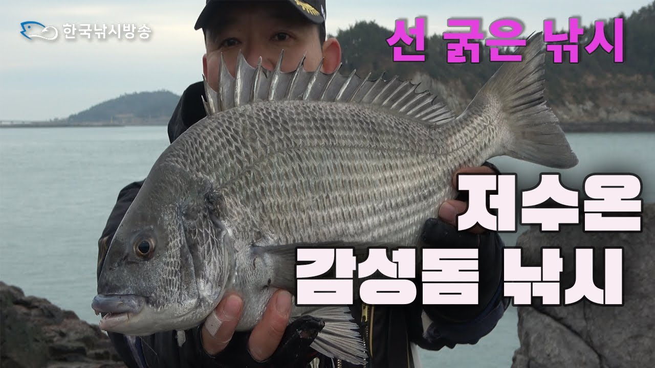 선굵은 낚시- 추자도 저수온기 극복