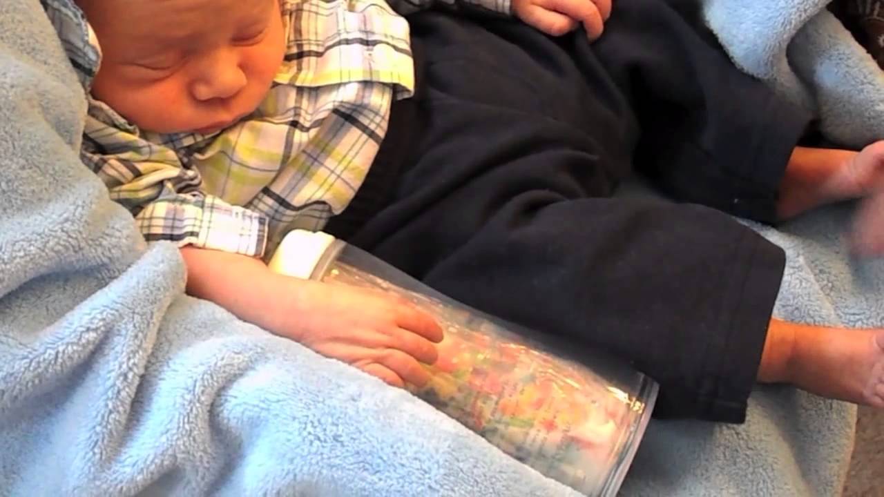 Fruity Dino Bites