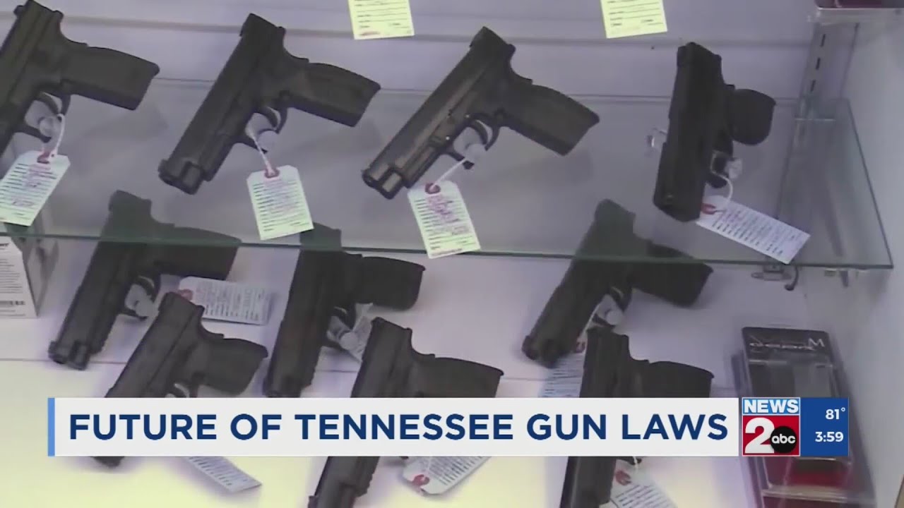 Future of Tennessee gun laws
