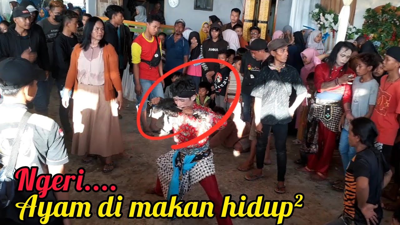 Extreme‼️Ebeg Makan Ayam Hidup Hidup//ebeg kentus//Tunas Tri Kaya Cimrutu