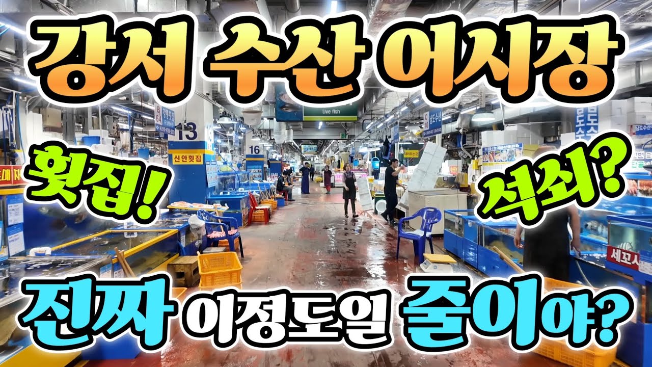 강서 수산 어시장 이거 영상 올려도 되나? 역대급! 상상 초월 진짜 일났네! 이렇게 준다고? korean fish market channel