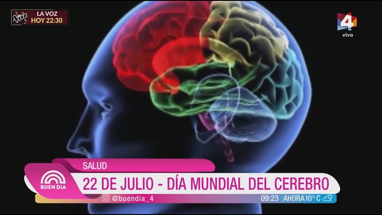 Buen D&iacute;a - Salud: &iquest;C&oacute;mo mantener activo y saludable el cerebro?