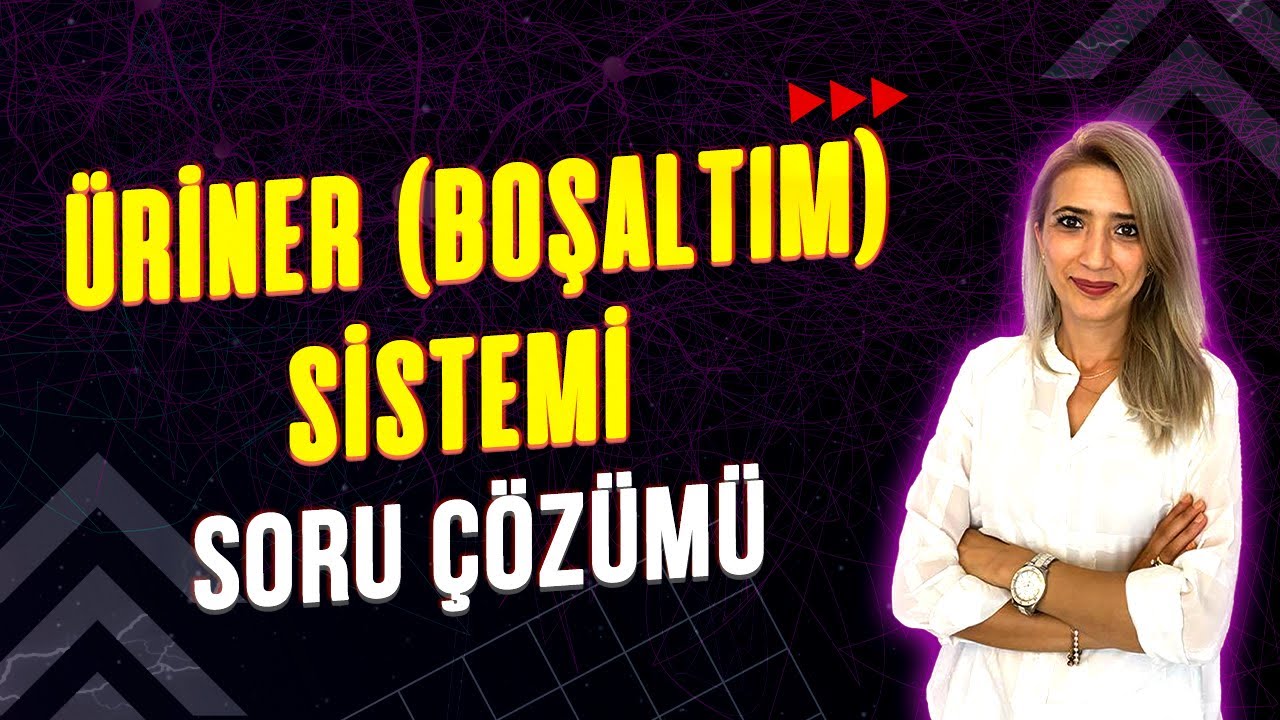 ÜRİNER ( BOŞALTIM) SİSTEMİ💯 SORU ÇÖZÜMÜ l Seda Hoca Biyoloji #ayt2023