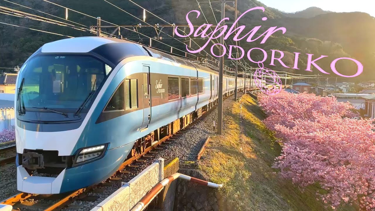 Japan's Luxurious Train [Saphir ODORIKO] Kawazu Sakura Festival | Premium Green