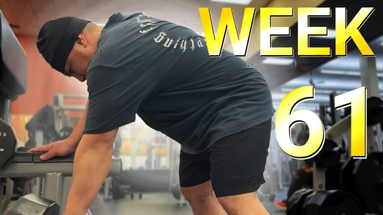 BUILT LIKE BAKI || I trained LESS and got BIGGER!