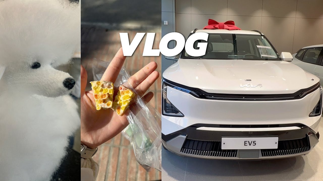 vlog | 일상 브이로그 | 새차 계약•EV5 | 🐩애견 미용 브이로그•첫 위그 | 두쫀쿠•마시멜로쿠키 | 헬스•운동 | 바이오던스•베이비쉐이크 | 외식 하는 날🎀