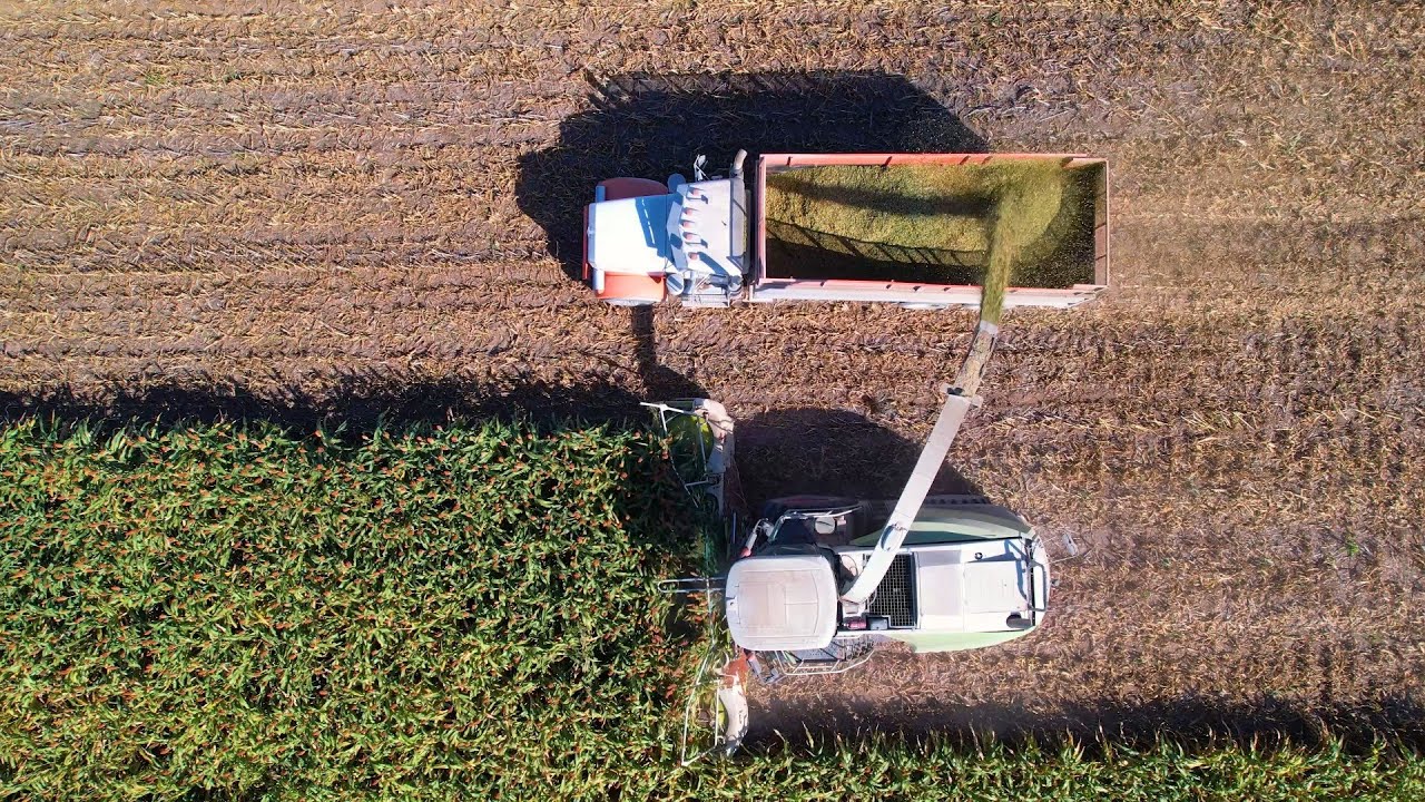 LaRosh Silage Chopping 2021