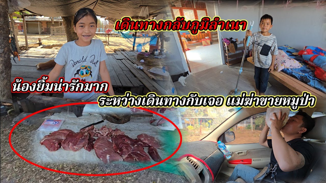 เดินทางกลับเจอแม่ค้าขายหมูป่า น้องน่ารักมากดีไซน์ดีมาก16 กุมภาพันธ์ ค.ศ. 2026