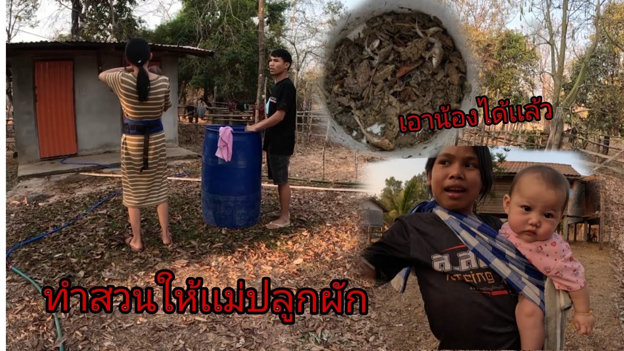 ไปตัดไม้มาทำสวนปลูกผักให้เเม่/ໄປຕັດໄມ້ມາເອັດສວນ22 กุมภาพันธ์ ค.ศ. 2026