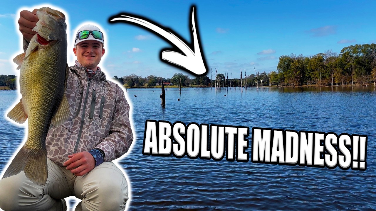 Flooded Forest Feeding Frenzy!! Fish On Every Cast!