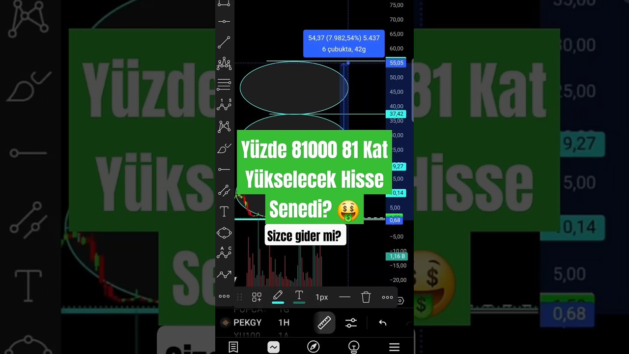 Y&uuml;zde 81000 81 Kat Y&uuml;kselecek Hisse Senedi #shorts #borsaistanbul #hissesenedi #borsa #parasalteknik