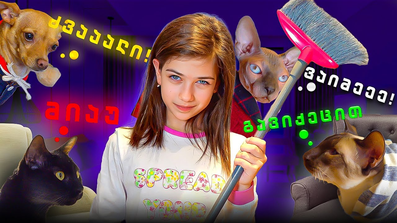 ემილია VS ცხოველები, რა მოხდა სახლში?